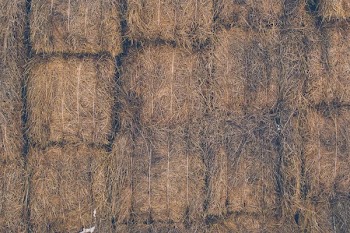 Hay Bail Close Up