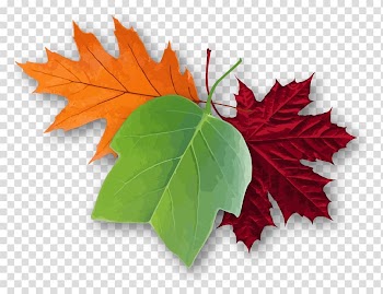 Hayes Arboretum The Ark: One Man's Quest to Document the World's Animals Tree Cope Environmental Center, autumn leaves transparent background PNG clipart