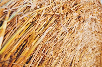 Haystack