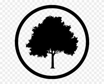 Hazel Oak Farms - North American American Oak Tree