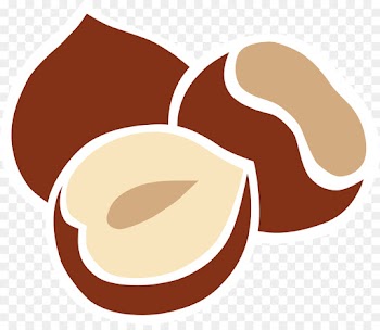 Hazelnut, Autoflowering Cannabis, Cannabis Sativa, Logo, Plant PNG