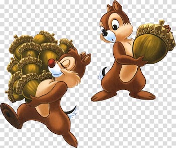 Hazelnut .de Autumn .com .net, decoratives transparent background PNG clipart