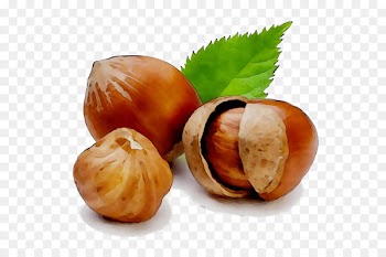 Hazelnut Health Food -  