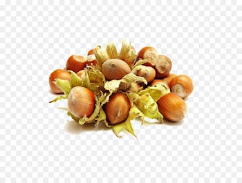 Hazelnut, Ice Cream, Nut, Food PNG