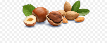 Hazelnut Praline Ice cream Macadamia - ice cream png download ...