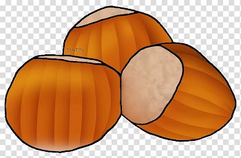 Hazelnut United States Tree nut allergy , united states transparent background PNG clipart