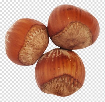 Hazelnut Vegetable oil Common hazel, Hazelnut transparent background PNG clipart