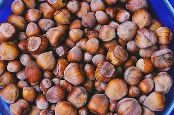 Hazelnuts