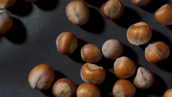 Hazelnuts · Free Stock Video