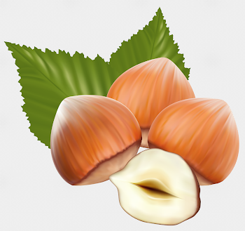 Hazelnuts PNG Clipart Image | Gallery Yopriceville - High-Quality ...