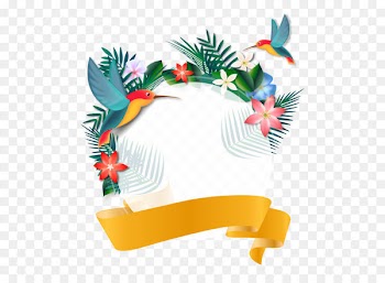 Hazlehead Park Gin and Beer Gin and Beer Whisky - Fresh and bright ribbon decoration background 