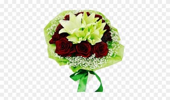 Hb025 Red Rose And White Lily - Garden Roses