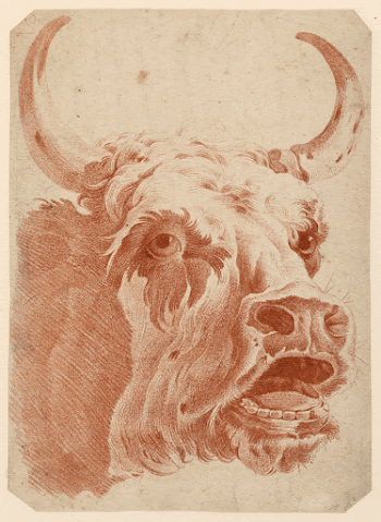 Head of a Cow (ca.1778) | Free Photo - rawpixel