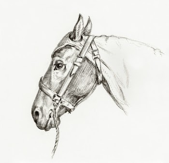 Head of a horse (1818) drawing in high… | Free public domain illustration