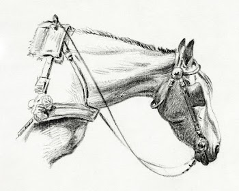 Head of a horse (1820) drawing in high… | Free public domain illustration