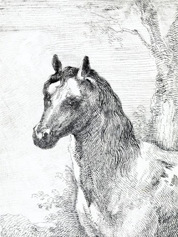 Head of a horse (ca. 1725&ndash;1792) print… | Free public domain illustration