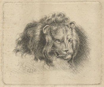 Head of a Lion | Free Photo - rawpixel