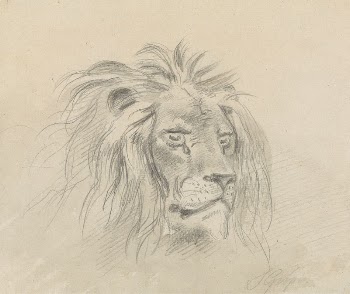Head of a Lion | Free Photo - rawpixel