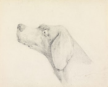 Head of a Pointer, in Profile | Free Photo - rawpixel