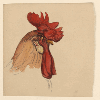 Head of a Rooster (ca. | Free Photo - rawpixel