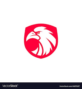head of falcon image