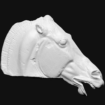 Head of horse, from Selene's | Free Photo - rawpixel