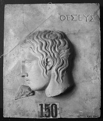 Head of Theseus in profile | Free Photo - rawpixel