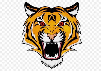 head wildlife tiger clip art roar