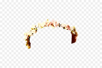 Headpiece, Hair Accessory PNG