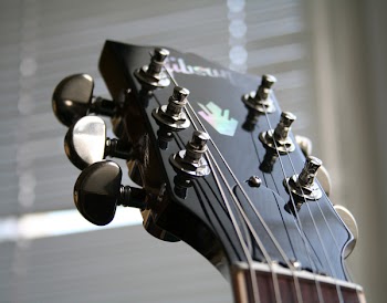 Headstock_30_.jpg