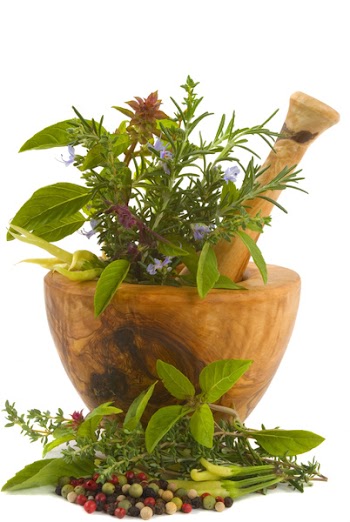 Healing herbs, spices, and edible flowers (hand carved olive tree mortar and pestle)