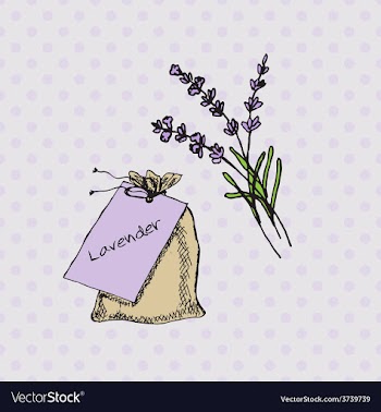 Health and Nature Collection Lavender vector image