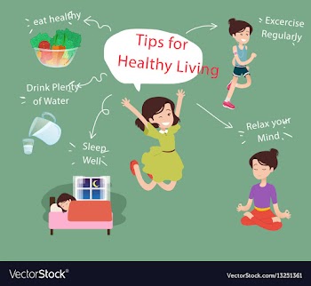 Health and wellness vector image