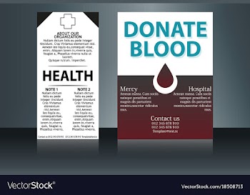 Health care and medical poster brochure flyer vector image