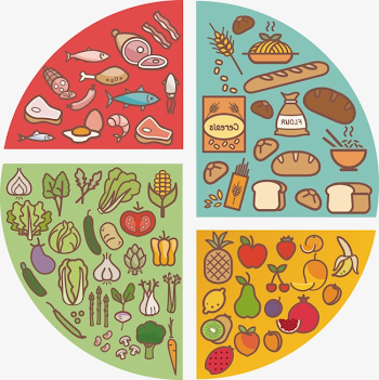 Healthy Eating Pie Chart Vector, Chart Vector, Health, Diet PNG ...