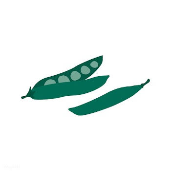 Healthy green pea pods vector | Free stock vector - 537930