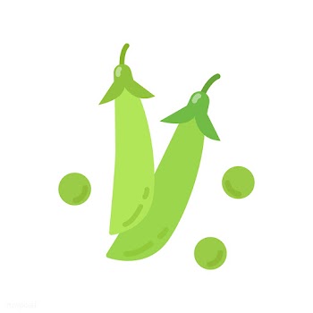Healthy green peas graphic illustration | Free stock vector - 424919