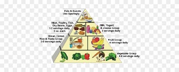 Healthy High Calorie Food
