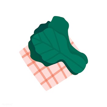 Healthy leafy pak choi vector | Free stock vector - 537938