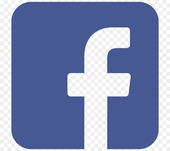 Healthy Mates Hydrotherapy and Physiotherapy Bendigo YouTube Facebook Like button Social media - F Vector 