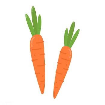 Healthy orange carrots graphic illustration | Free stock vector - 424931