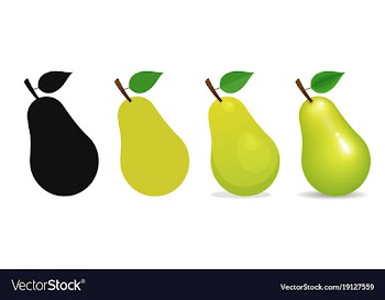  					Healthy pears vector image														