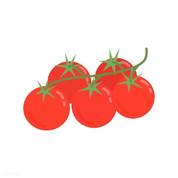 Healthy red tomatoes graphic illustration | Free stock vector - 424925
