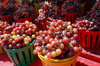 Heaps of grapes in the sun