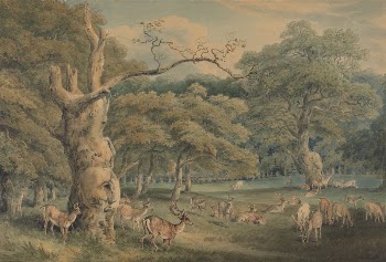 Hearne's Oak, Windsor Forest | Free Photo - rawpixel