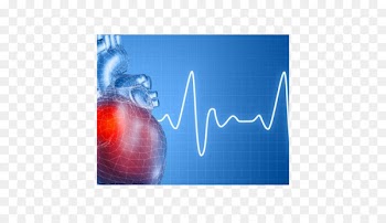 Heart arrhythmia Disease Cardiology Heart Ailment - heart 
