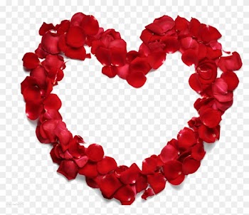 Heart Beach Rose Petal Flower - Good Morning Rose Heart