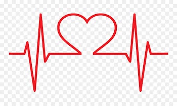 Heart Cardiovascular disease Hospital Health Cardiology - Heart 