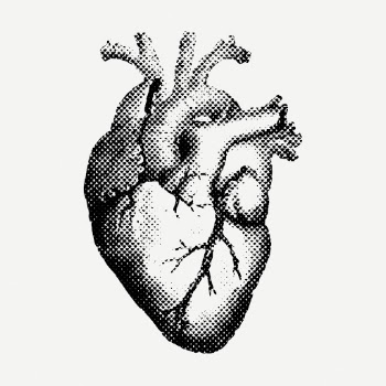 Heart drawing, vintage medical illustration | Free PSD - rawpixel