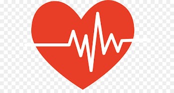 Heart Electrocardiography Pulse - Heartbeat cartoon 
